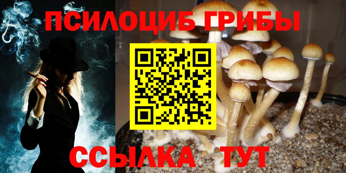 Псилоцибиновые грибы Magic Shrooms Ковров