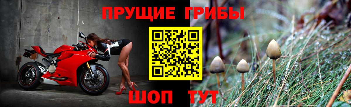 Ковров  Галлюциногенные грибы GOLDEN TEACHER  Вход с VPN  Псилоцибиновые грибы прущие грибы 