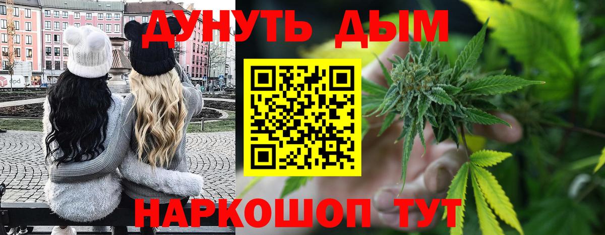 Конопля сатива Ковров
